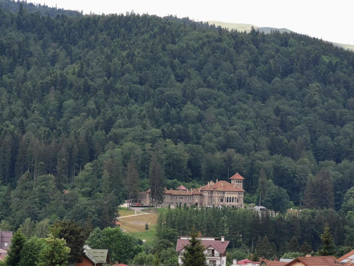 Hotel Iri Buşteni Εξωτερικό φωτογραφία